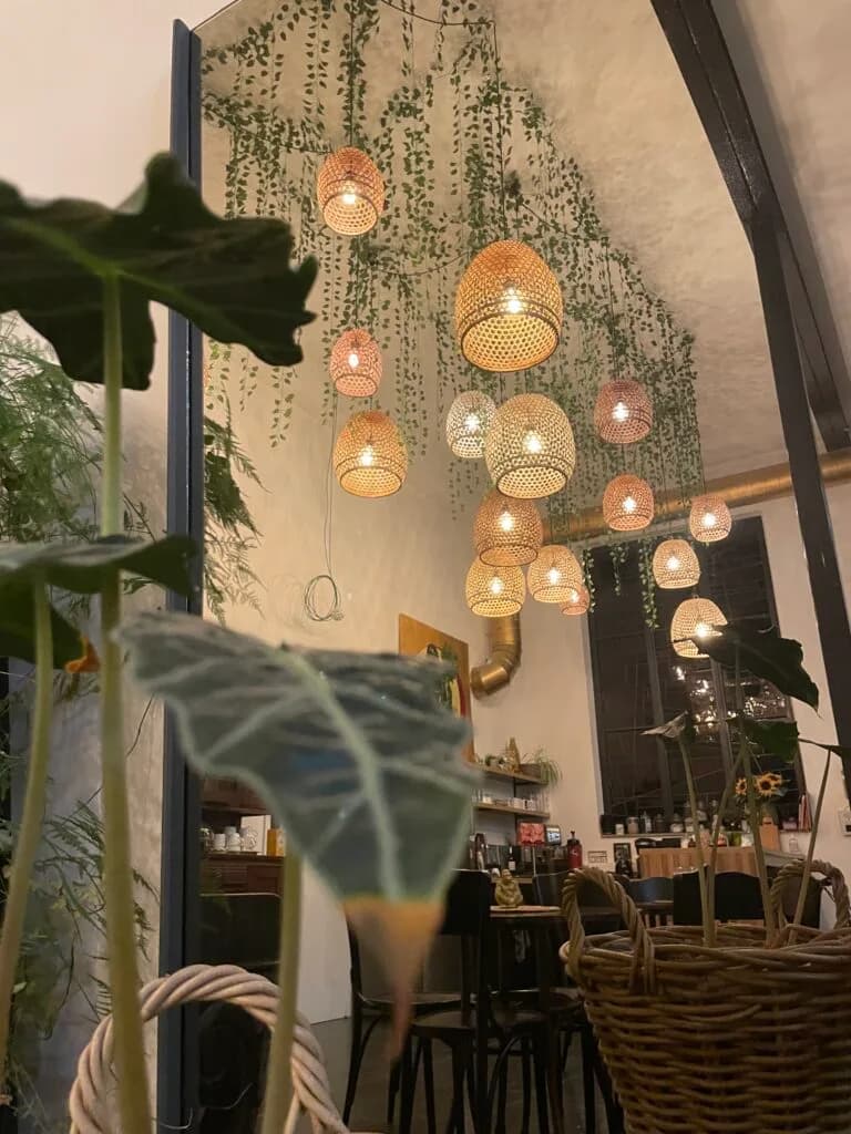 Un espace intérieur élégant avec des lampes suspendues en osier, des plantes verdoyantes et un décor chaleureux.